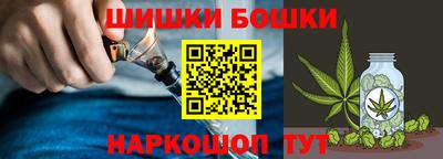 МДПВ Обь