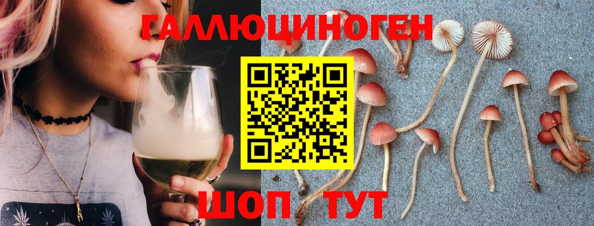 Псилоцибиновые грибы Psilocybe Узловая