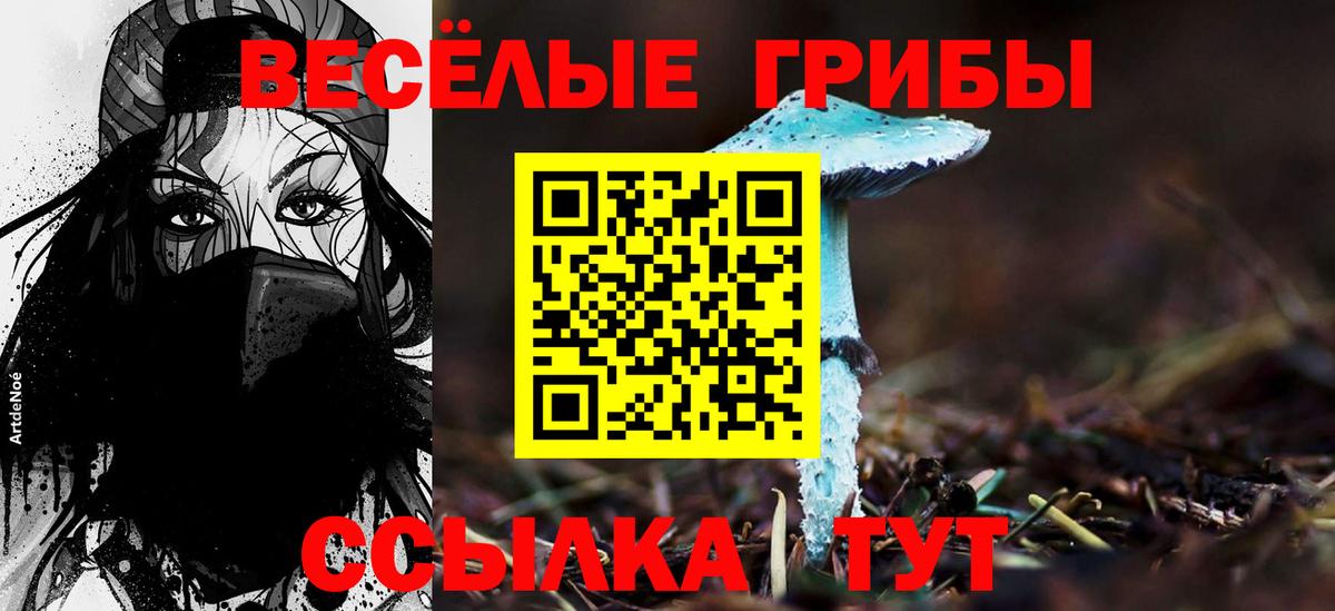 Узловая  Галлюциногенные грибы Cubensis  Вход с VPN 